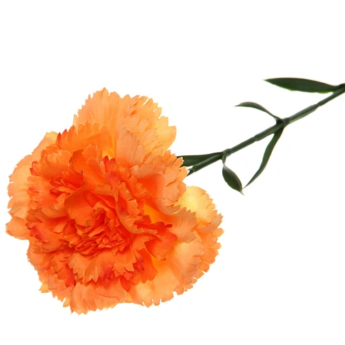 Цветок искусственный Гвоздика 68см оранжевая_4