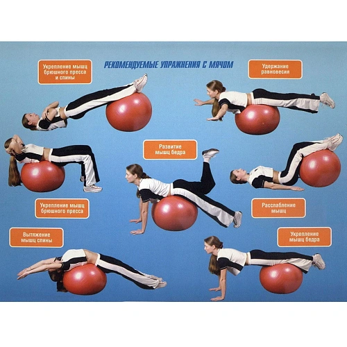 Мяч гимнастический Sportage полумассажный 75 см 1000гр (с насосом), Фиолетовый_6